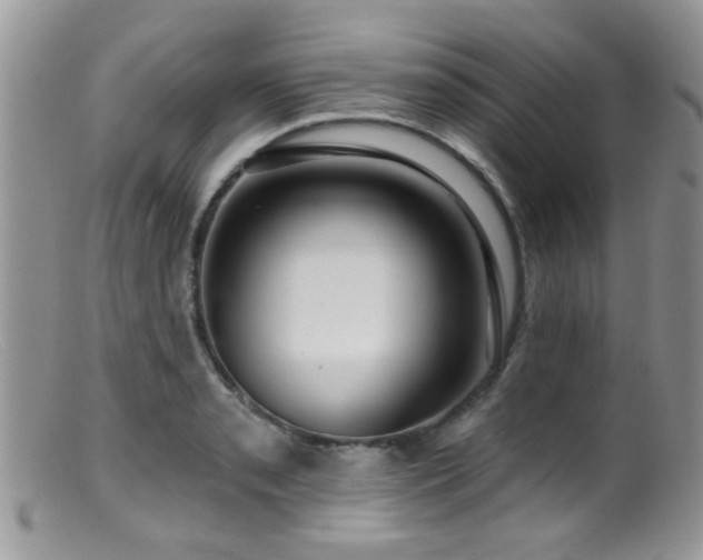 X0000099501085200805151425