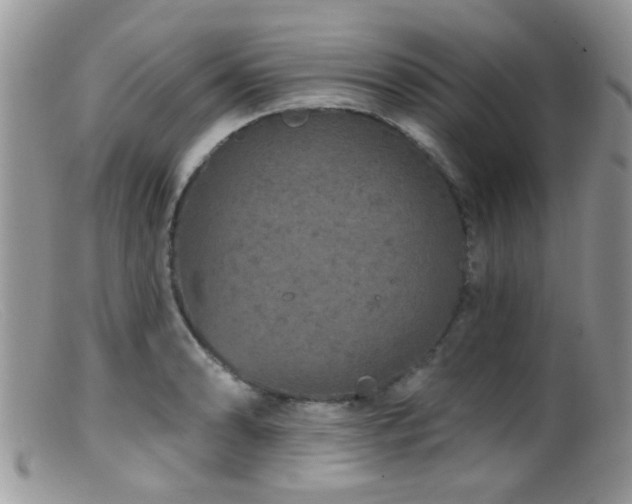 X0000099501086200805151425