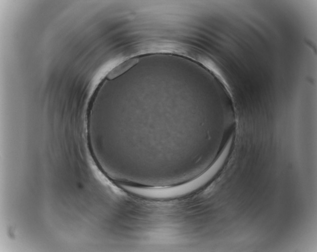 X0000099501088200805151425