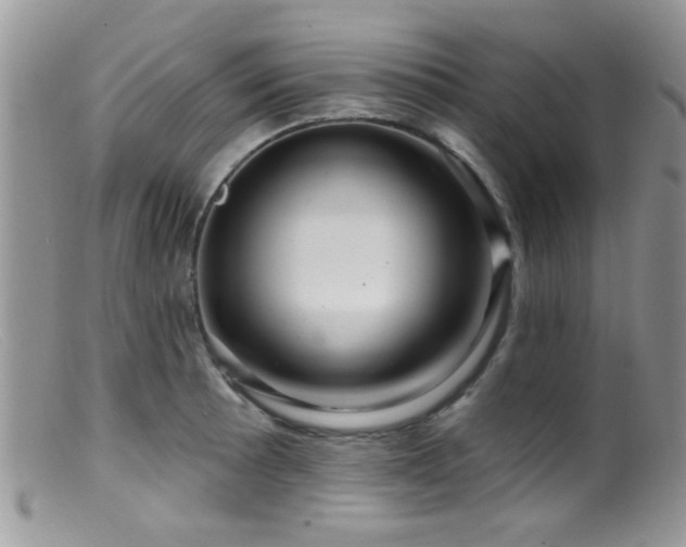 X0000099501089200805151425
