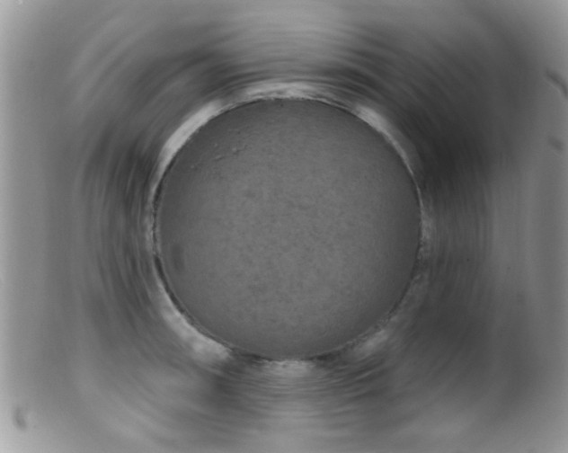 X0000099501090200805151425