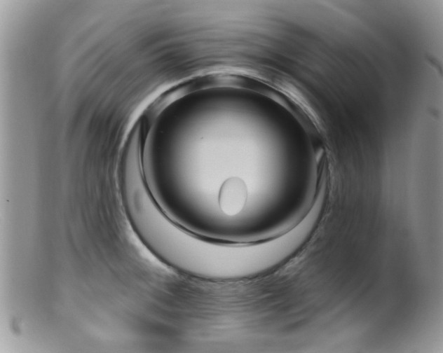 X0000099501092200805151425