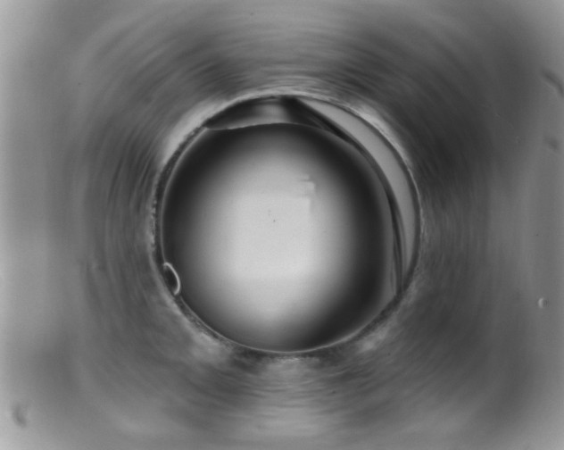 X0000099501093200805151425