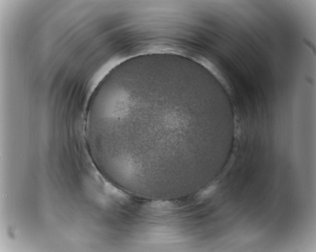 X0000099501094200805151425