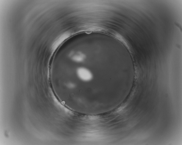 X0000099501095200805151425
