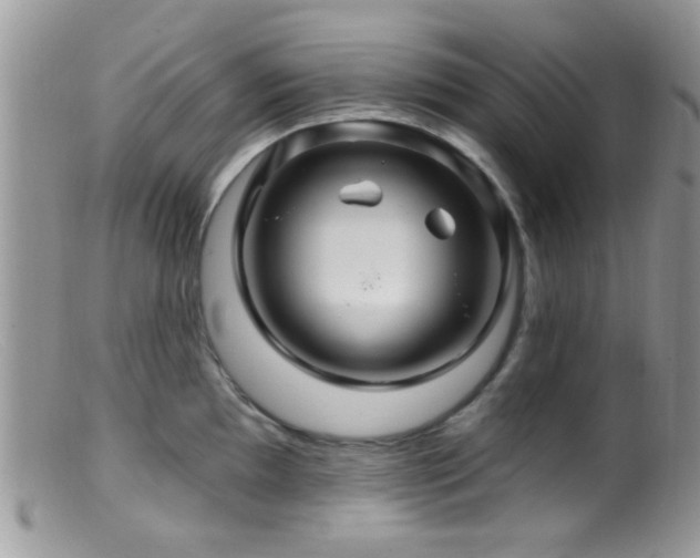 X0000099501097200805151425