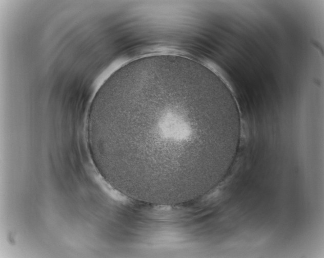 X0000099501098200805151425