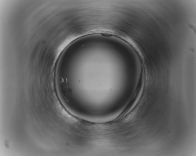 X0000099501102200805151425