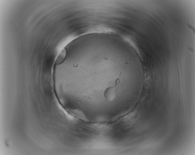X0000099501103200805151425