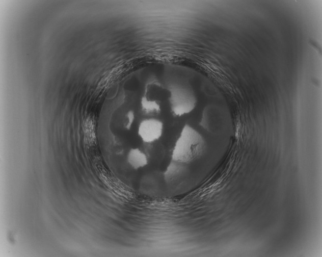 X0000099501106200805151424