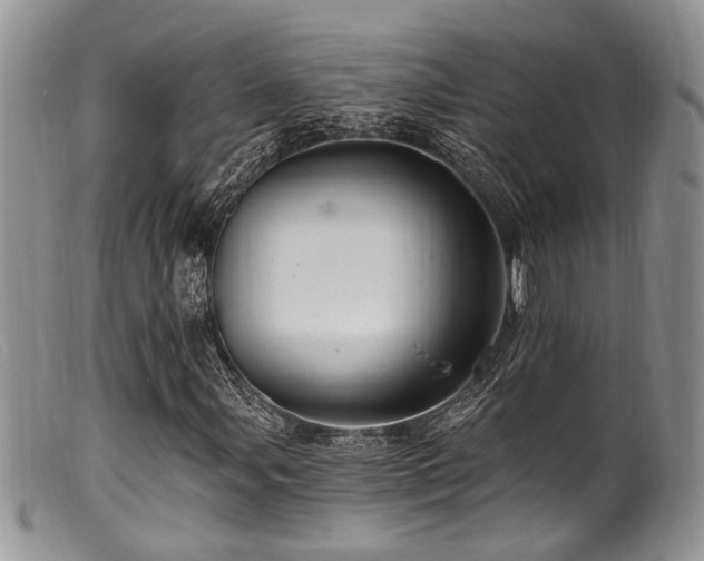 X0000099501107200805151424