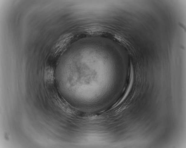 X0000099501108200805151424