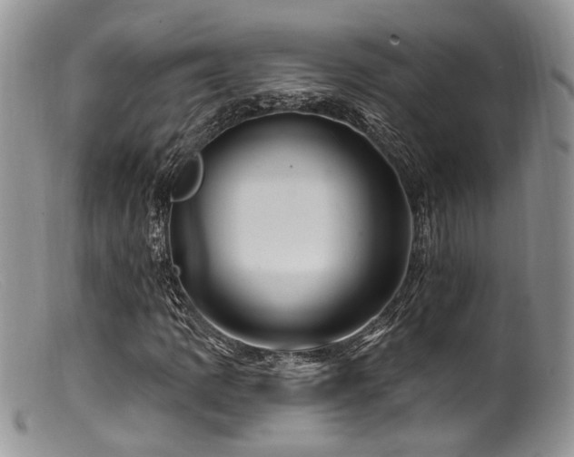X0000099501109200805151424