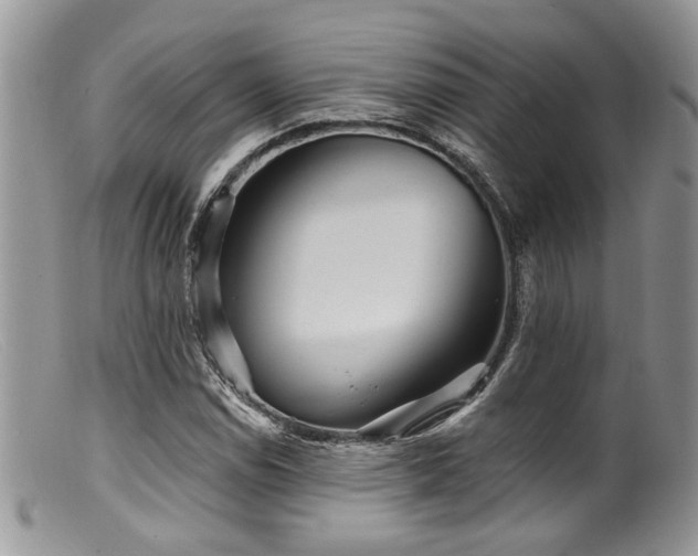 X0000099501114200805151424