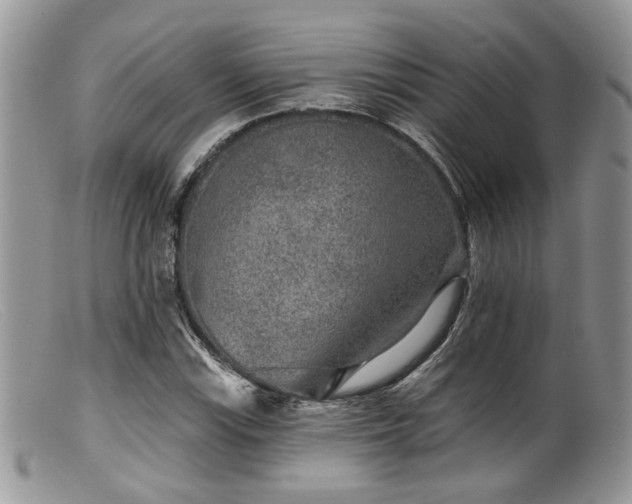 X0000099501115200805151424