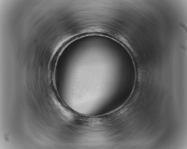 X0000099501116200805151424