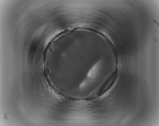 X0000099501117200805151424