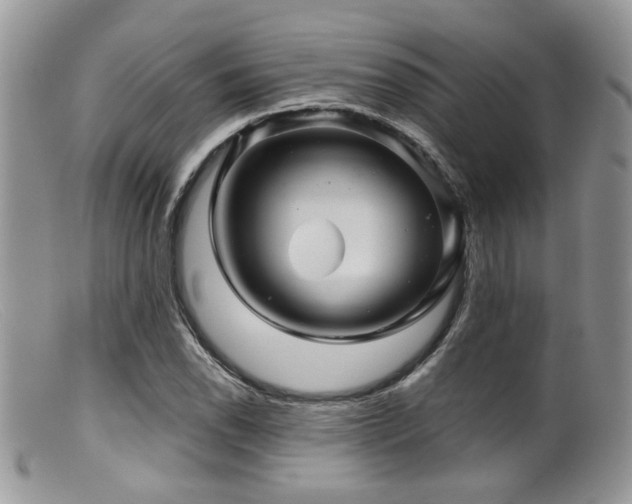 X0000099501118200805151424