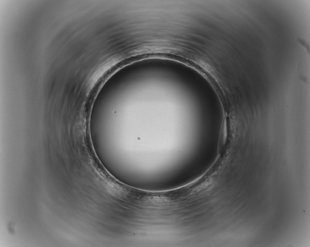 X0000099501119200805151424