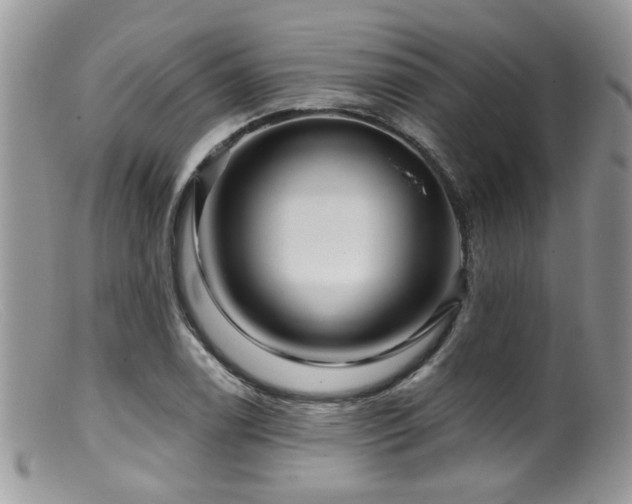 X0000099501122200805151424