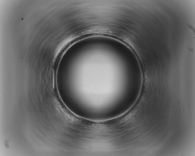 X0000099501123200805151424