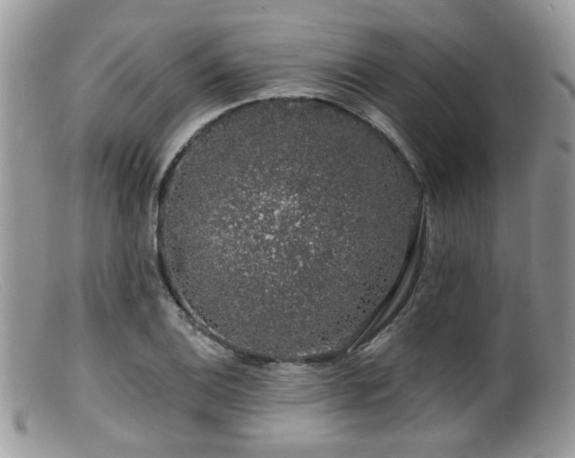 X0000099501124200805151424
