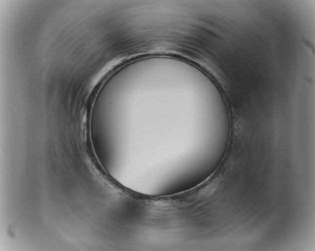 X0000099501126200805151424