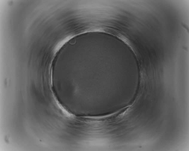 X0000099501127200805151424