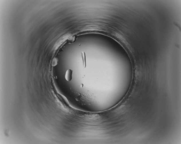 X0000099501129200805151424