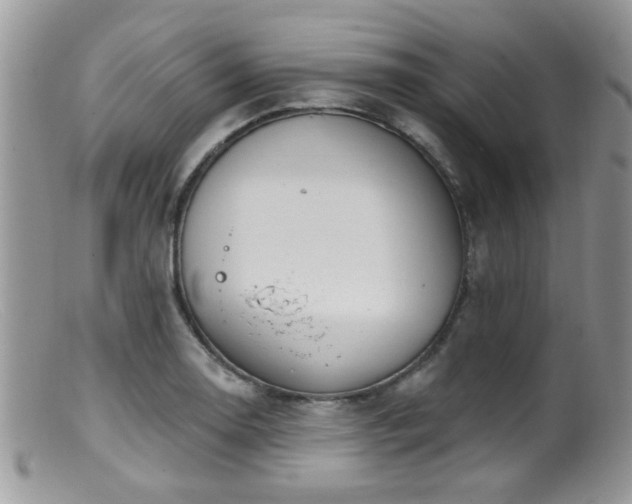 X0000099501130200805151424