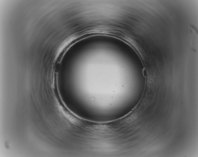X0000099501131200805151424