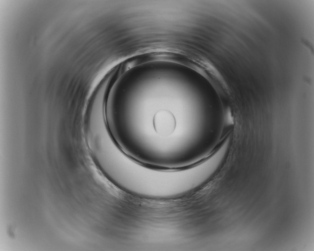 X0000099501132200805151424