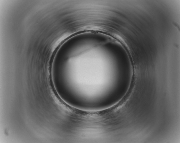 X0000099501133200805151424