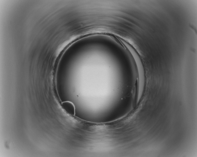 X0000099501134200805151424