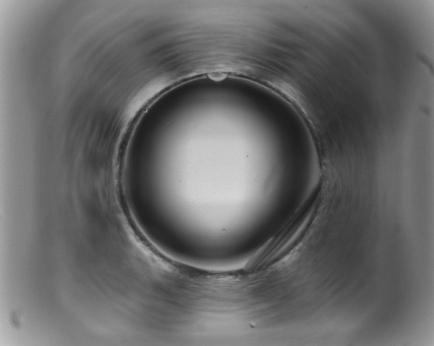 X0000099501135200805151424