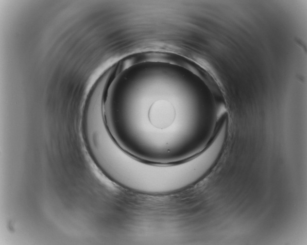 X0000099501136200805151424
