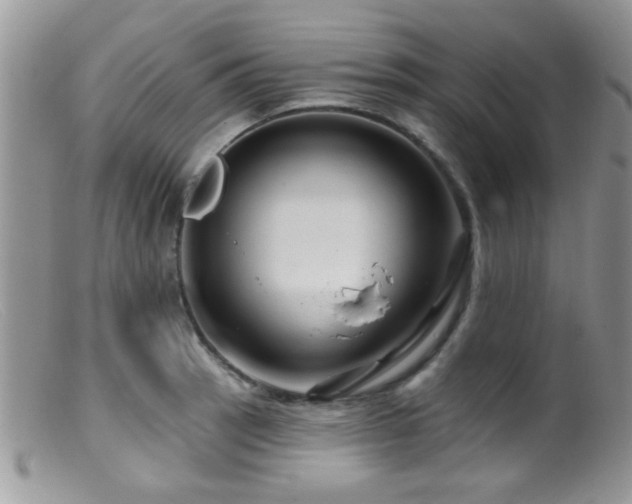 X0000099501137200805151424