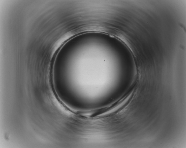 X0000099501139200805151424