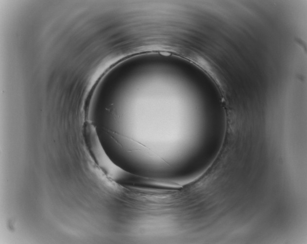 X0000099501140200805151424