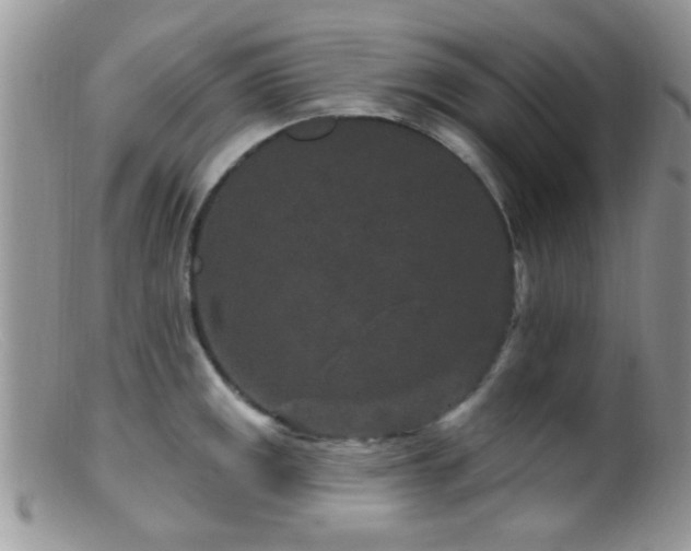 X0000099501141200805151425