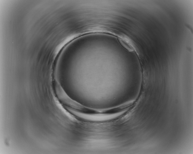 X0000099501142200805151425
