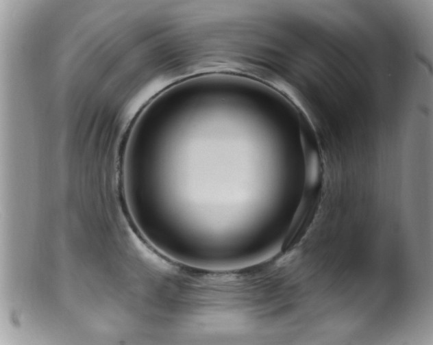 X0000099501143200805151425