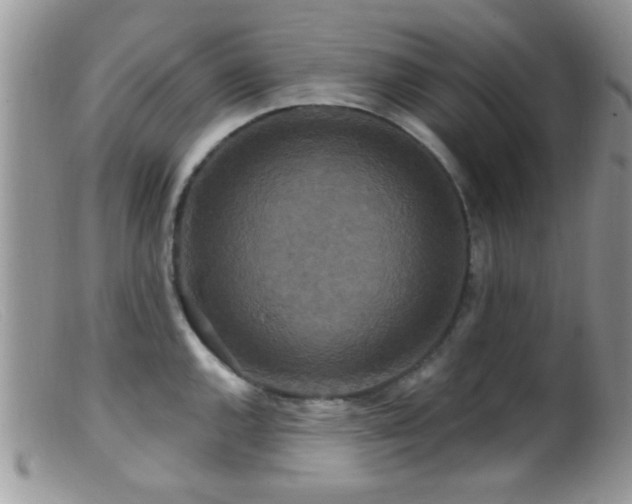 X0000099501144200805151425