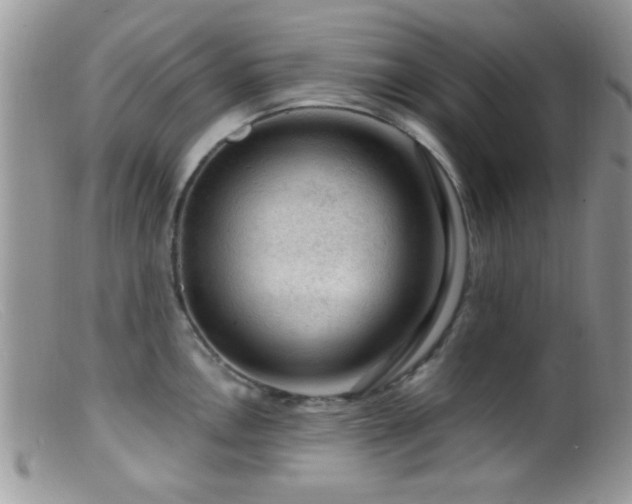 X0000099501146200805151425