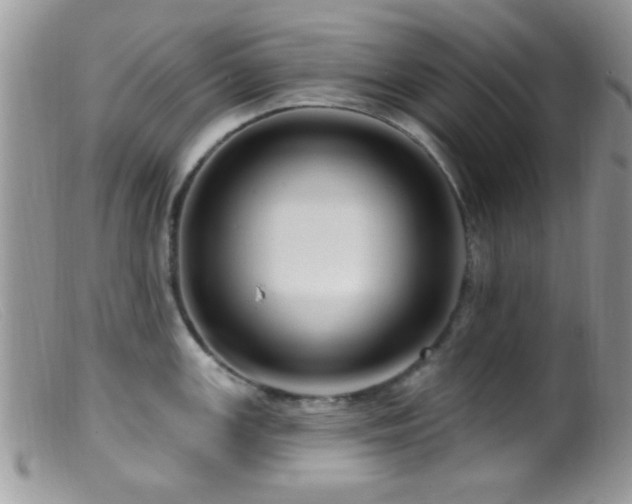 X0000099501147200805151425