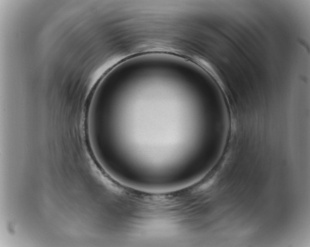 X0000099501149200805151425