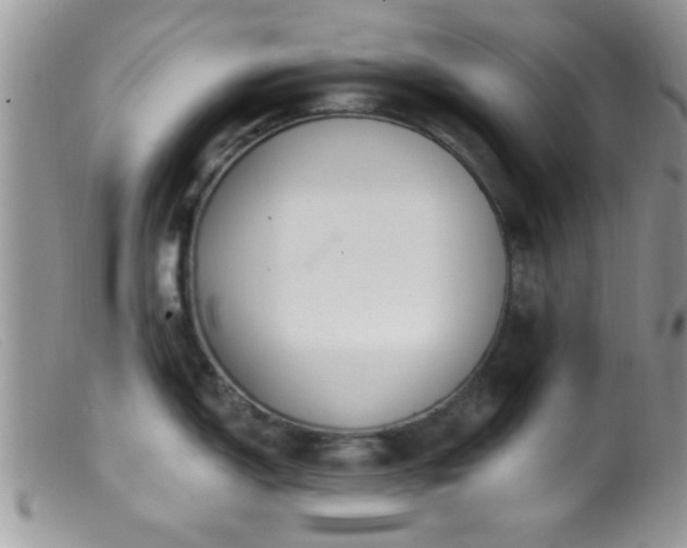 X0000099501150200805151425