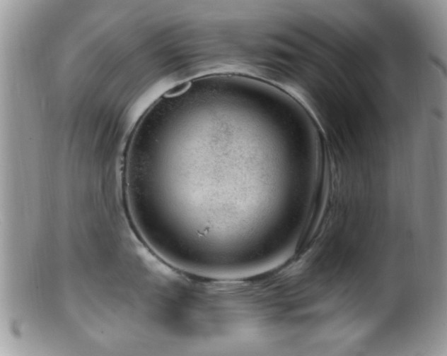 X0000099501151200805151425