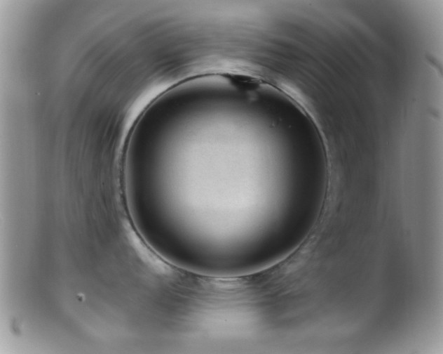 X0000099501152200805151425