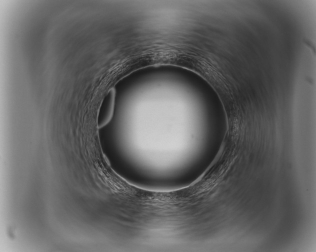 X0000099501153200805151424